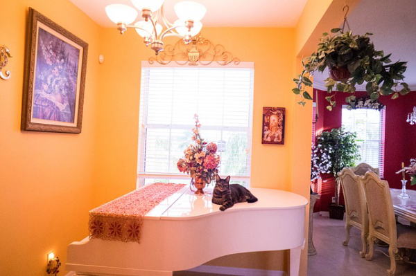 �C���e���A�C���[�W