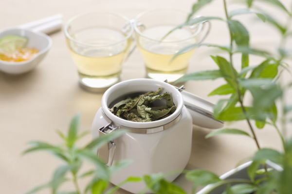 �n�[�u�e�B�[